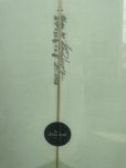 画像4: Leona surfboard PISTACHIO　オーダー商品