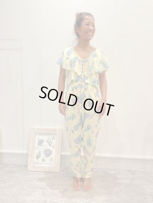 画像5: 【20％OFF】プロテアプリントパンツ