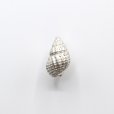 画像2: bisho ピアス12ヒメムシロ SILVER