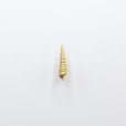 画像5: bisho ピアス02　タケノコカイ　gold