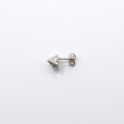 画像11: bisho ピアス03　ウズイチモンジ　gold