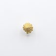 画像6: bisho ピアス03　ウズイチモンジ　gold