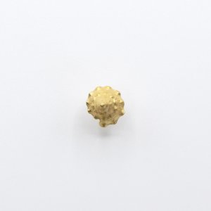 画像6: bisho ピアス03　ウズイチモンジ　gold