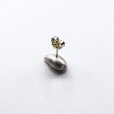 画像8: bisho ピアス06 タカラガイ　GOLD