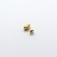 画像2: bisho ピアス06 タカラガイ　GOLD