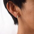 画像11: bisho ピアス06 タカラガイ　GOLD
