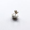 画像7: bisho ピアス05 フジツボ　GOLD