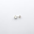 画像3: bisho ピアス08 バフンウニ SILVER