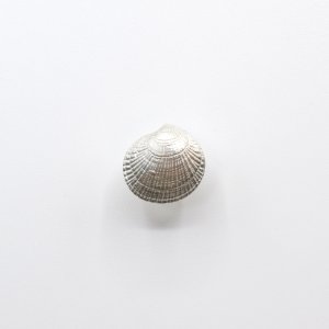 画像7: bisho ピアス10 シラスナガイ　GOLD