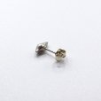 画像4: bisho ピアス０１　ヒメヨウラク　silver
