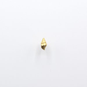 画像2: bisho ピアス０１　ヒメヨウラク　gold