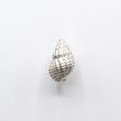 画像2: bisho ピアス12ヒメムシロ SILVER