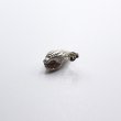画像4: bisho ピアス12ヒメムシロ SILVER