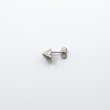画像11: bisho ピアス03　ウズイチモンジ　gold