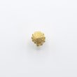 画像6: bisho ピアス03　ウズイチモンジ　gold
