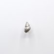 画像2: bisho ピアス04　ヒメムシロ　silver