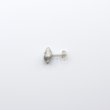 画像3: bisho ピアス04　ヒメムシロ　silver