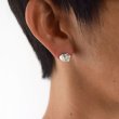 画像10: bisho ピアス05 フジツボ　GOLD