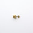 画像3: bisho ピアス05 フジツボ　GOLD