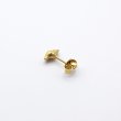 画像4: bisho ピアス０１　ヒメヨウラク　gold
