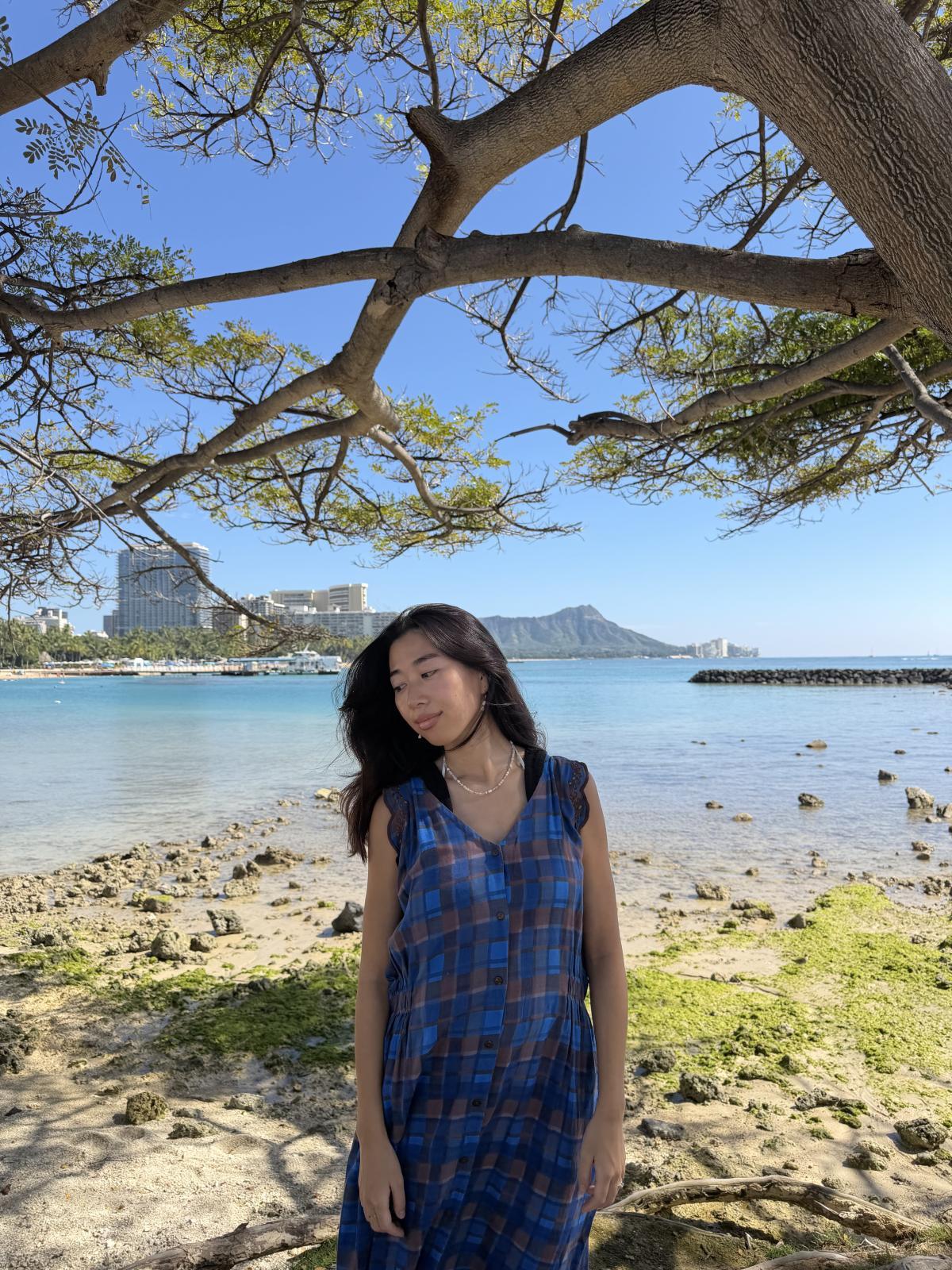 画像5: 【2026春夏予約商品】カットワークレースチェックワンピース